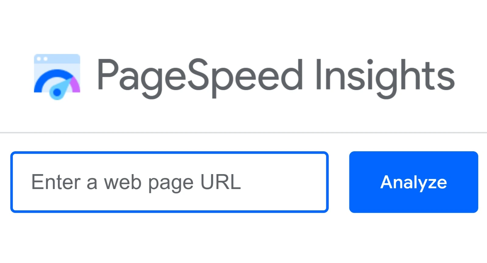 PageSpeed Insights Tool